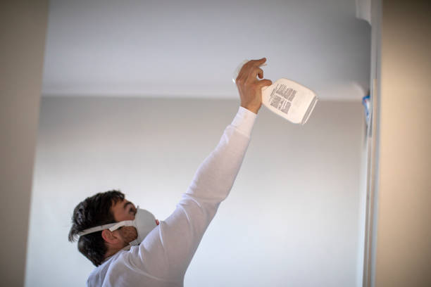 Best Commercial Mold Removal  in Tome, NM