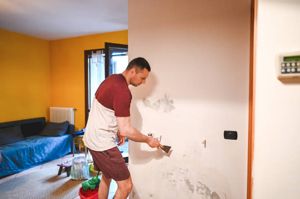 Best Black Mold Removal  in Tome, NM